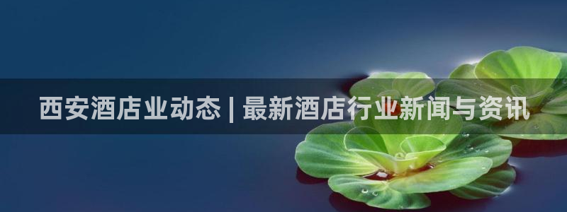 威廉希尔入口|西安酒店业动态 | 最新酒店行业新闻与资讯